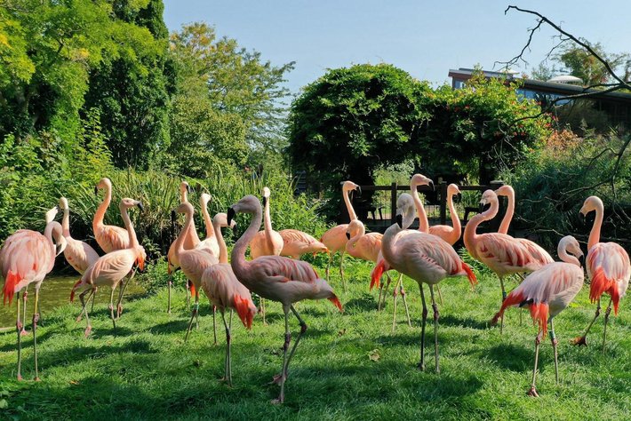 Bergzoo Halle