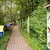 Ein beleuchteter Lehrpfad im Wald mit Infotafel zu heimischen Vogelarten, darunter Bilder von Rotkehlchen, Specht und anderen. Mehrere farbige Vogelhäuschen säumen den gepflasterten Weg.