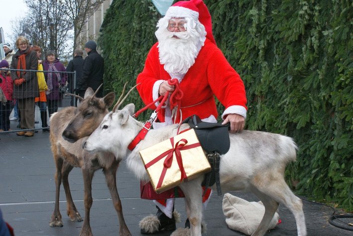 Ein Mensch verkleidet als Vater Weihnachtsmann, der zwei Rentier führten und ein Geschenk mit rotem Band auf einem Schlitten trägt.