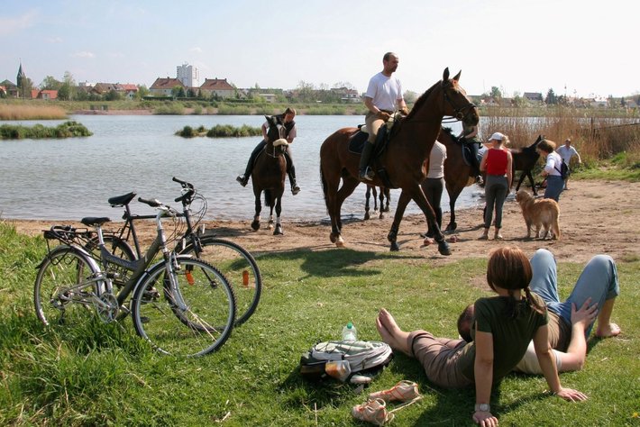 Rundfahrt durch die Dölauer Heide