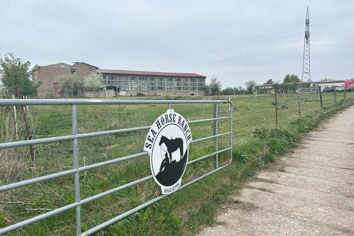 Stellplätze auf dem Pferdehof 