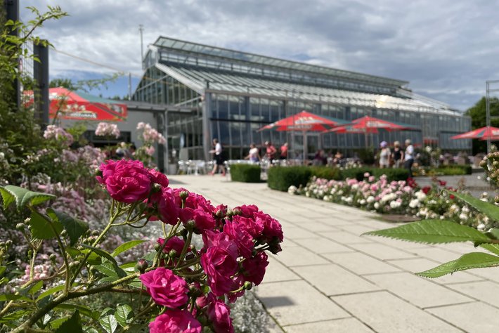 Europa-Rosarium Sangerhausen 