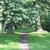 Schlosspark Dieskau
