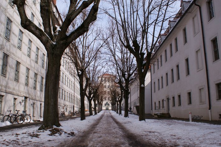 Ein snowbedeckter Weg in einer ruhigen Straße zwischen zwei bleichen Gebäuden, gesäumt von kahlen Winterbäumen. Am Anfang des Weges befinden sich Fahrräder, die links geparkt sind. Die Szene wirkt still und friedlich.