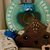 Swimbo Baby Spa