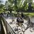 Auf einem sonnigen Weg führen mehrere Personen – darunter Erwachsene und Kinder – Fahrräder sowie ein Kinder­fahrrad. Ein ruhiges Ufer mit Fußweg und Fahrradbahn, umgeben von Natur, durchquert grüne, schattige Bäume.