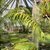 Harzer Wandernadel: Sonderstempel im Botanischen Garten