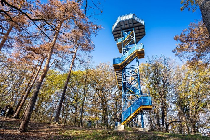 Naturlehrpfad Dölauer Heide