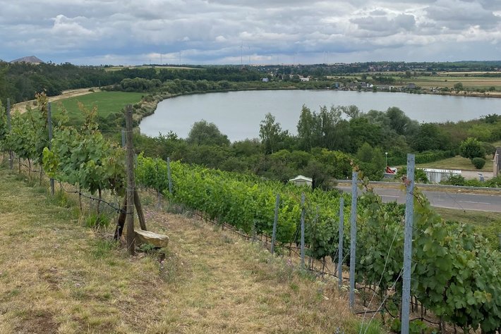 Zelten auf dem Weingut Herboldt