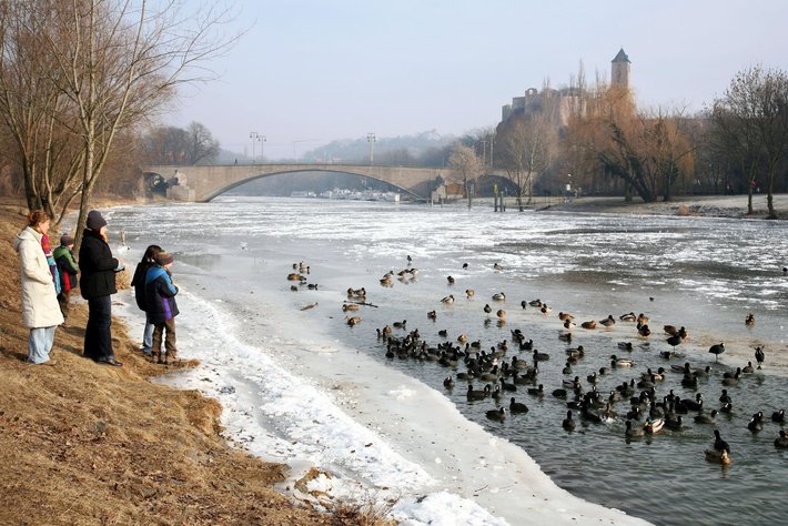 In dieser winterlichen Szene stehen am Ufer eines partiell zugefrorenen Flusses einige Personen und beobachten eine große Gruppe von Enten. Der Fluss liegt sicher in der Nähe eines Brücken- und Gebäudehintergrunds, aber im Fokus sind die Vögel und die zugeschneite Landschaft.