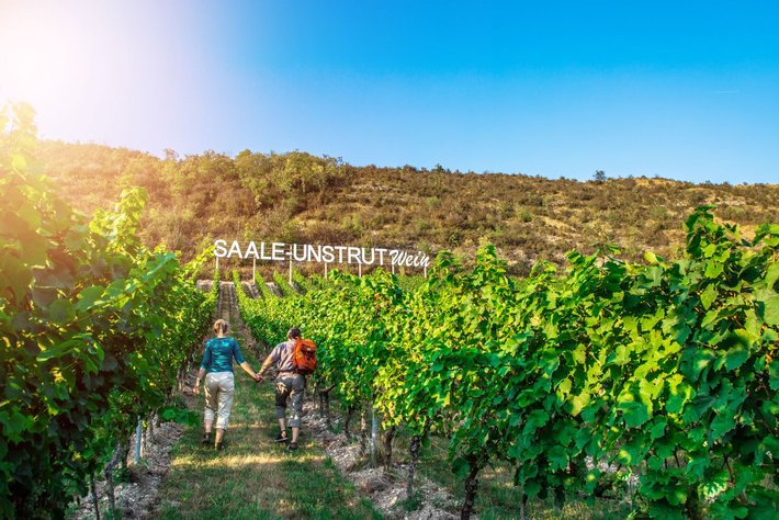 Weinregion Saale-Unstrut