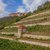 Weinregion Saale-Unstrut