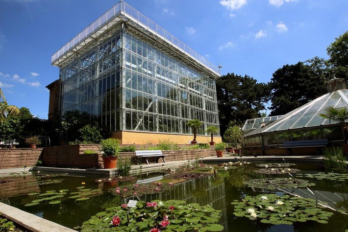 Botanischer Garten