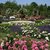 Europa-Rosarium in Sangerhausen